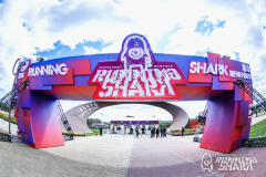 �׳������׸��������ֽڣ��������������˱�ȫ��